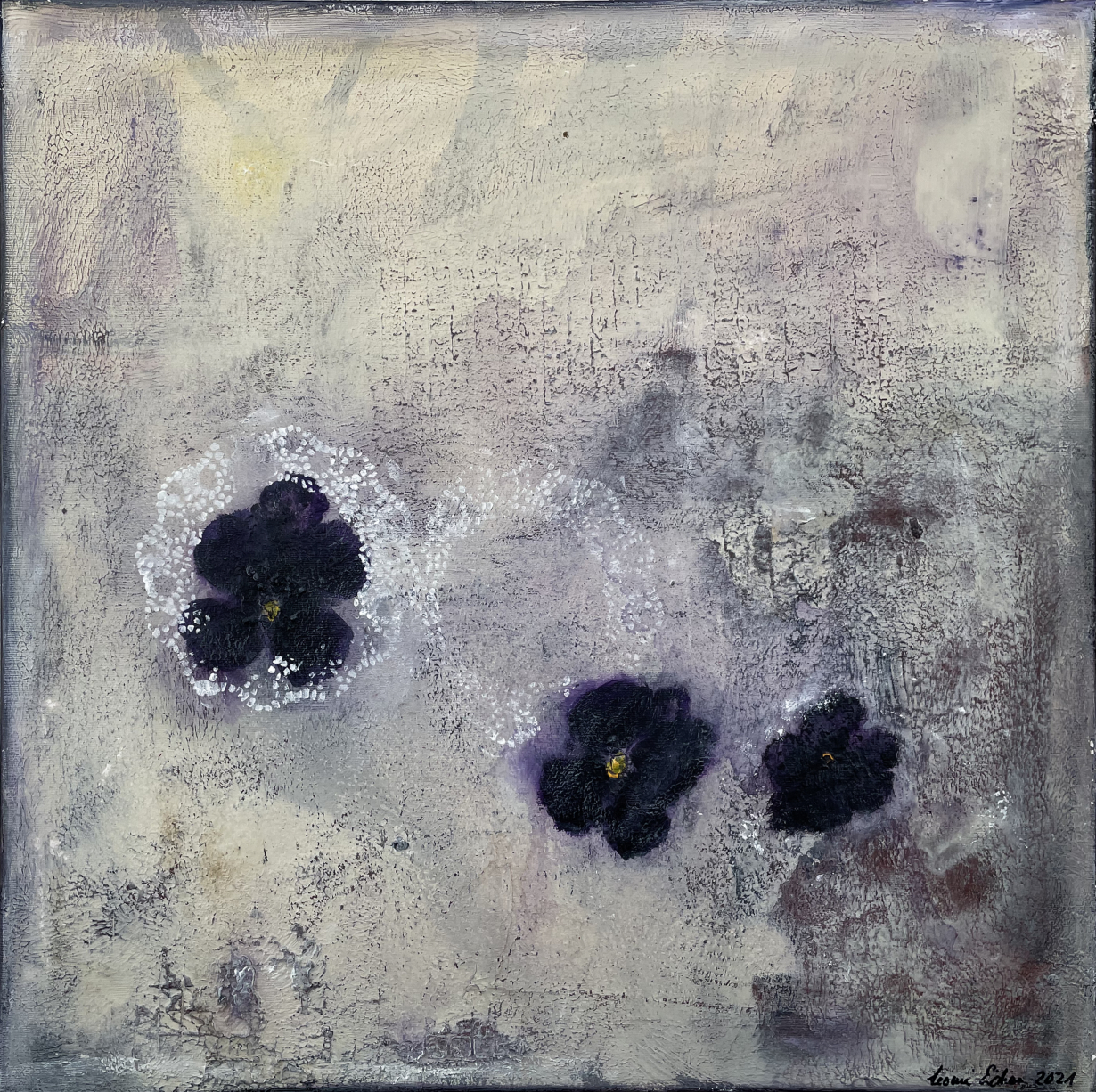  Violet  60x60cm  600.- 