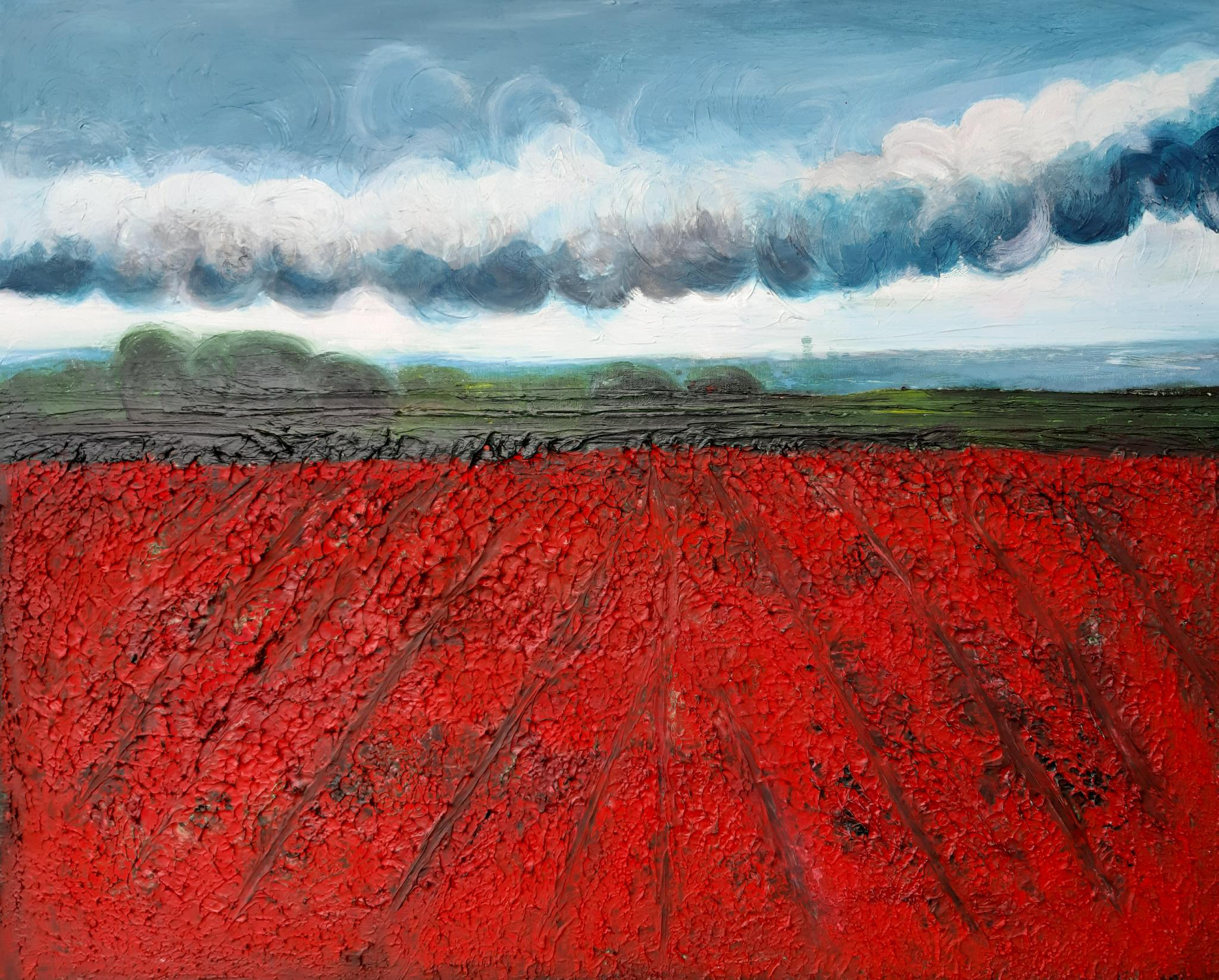  Mohnfeld  100x120cm  800.- 